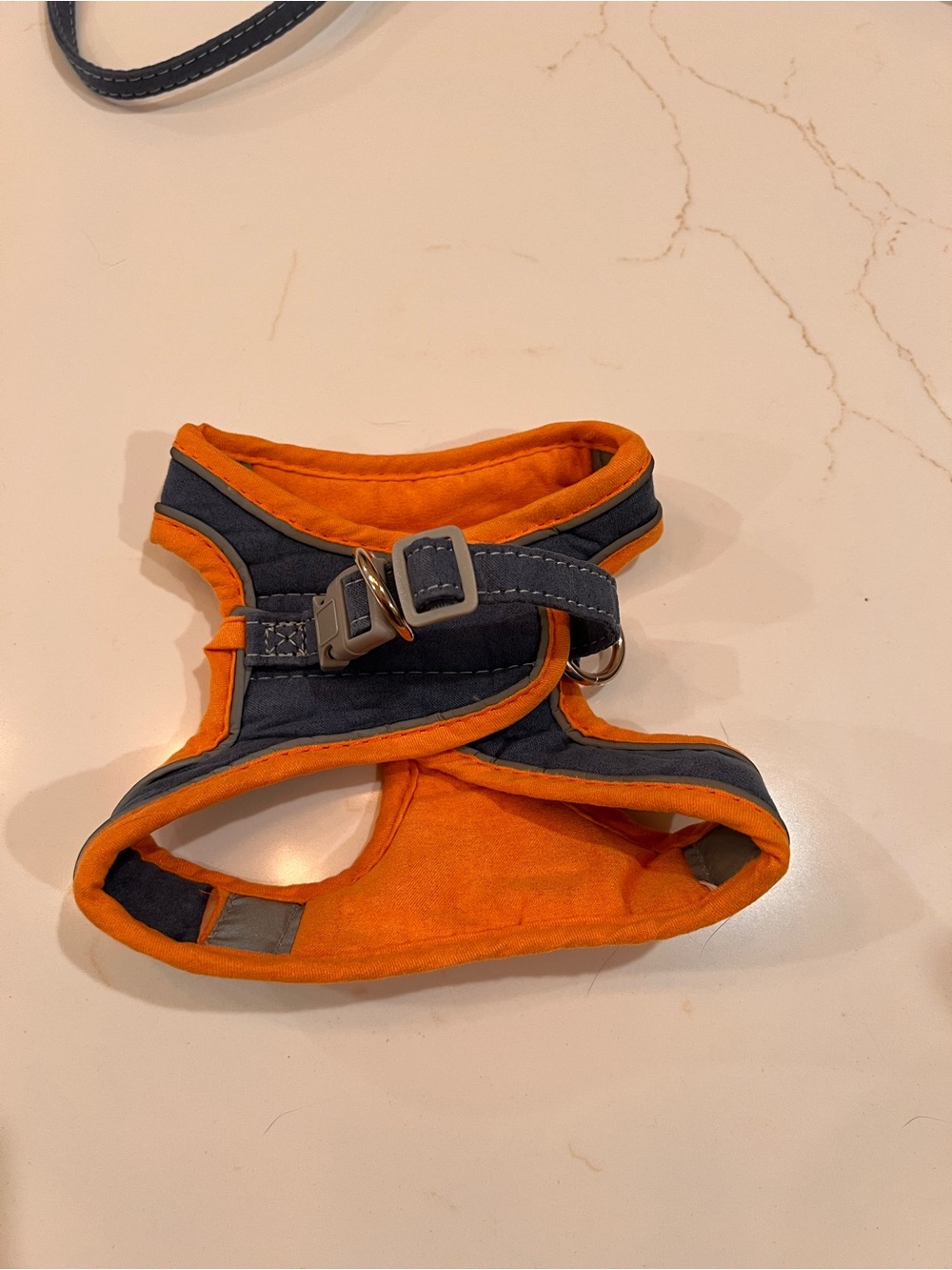 Orange and Blue pet harness with leash | L